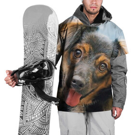 Накидка на куртку 3D с принтом Длинношерстная такса в Курске, 100% полиэстер |  | Тематика изображения на принте: дворняжка | песик | собака | собаки | собачка | собачки | такса | таксы