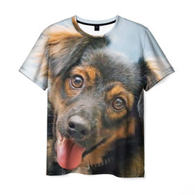Мужская футболка 3D с принтом Длинношерстная такса в Курске, 100% полиэфир | прямой крой, круглый вырез горловины, длина до линии бедер | дворняжка | песик | собака | собаки | собачка | собачки | такса | таксы