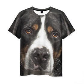 Мужская футболка 3D с принтом Зенненхунд в Курске, 100% полиэфир | прямой крой, круглый вырез горловины, длина до линии бедер | большая собака | зенненхунд | пес | песик | сенбернар | собака | собаки