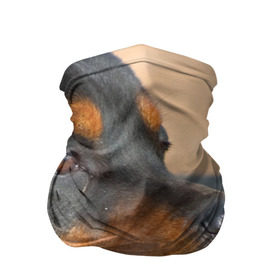 Бандана-труба 3D с принтом Ротвейлер в Курске, 100% полиэстер, ткань с особыми свойствами — Activecool | плотность 150‒180 г/м2; хорошо тянется, но сохраняет форму | Тематика изображения на принте: большая | пес | песик | псина | ротвейлер | ротвейлеры | собака | собаки