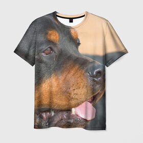 Мужская футболка 3D с принтом Ротвейлер в Курске, 100% полиэфир | прямой крой, круглый вырез горловины, длина до линии бедер | Тематика изображения на принте: большая | пес | песик | псина | ротвейлер | ротвейлеры | собака | собаки