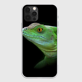 Чехол для iPhone 12 Pro Max с принтом Рептилоид в Курске, Силикон |  | о.м.с.к. | природа | ящерица