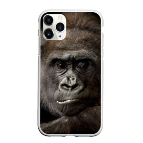 Чехол для iPhone 11 Pro Max матовый с принтом Взгляд в Курске, Силикон |  | взгляд | голова | животные | обезьяна | природа