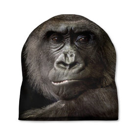 Шапка 3D с принтом Взгляд в Курске, 100% полиэстер | универсальный размер, печать по всей поверхности изделия | взгляд | голова | животные | обезьяна | природа