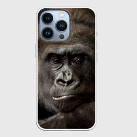 Чехол для iPhone 13 Pro с принтом Взгляд в Курске,  |  | взгляд | голова | животные | обезьяна | природа