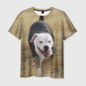 Мужская футболка 3D с принтом Пит-буль на траве в Курске, 100% полиэфир | прямой крой, круглый вырез горловины, длина до линии бедер | амстафф | буль | пес | песик | питбули | питбуль | собака | собаки | стафф | терьер
