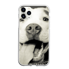 Чехол для iPhone 11 Pro Max матовый с принтом Пит-буль в Курске, Силикон |  | амстафф | буль | пес | песик | питбули | питбуль | собака | собаки | стафф | терьер