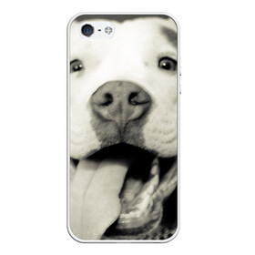 Чехол для iPhone 5/5S матовый с принтом Пит-буль в Курске, Силикон | Область печати: задняя сторона чехла, без боковых панелей | амстафф | буль | пес | песик | питбули | питбуль | собака | собаки | стафф | терьер
