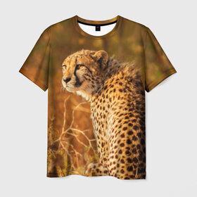 Мужская футболка 3D с принтом Дикая кошка в Курске, 100% полиэфир | прямой крой, круглый вырез горловины, длина до линии бедер | взгляд | гепард | дикая кошка | кошка | охота | сафари | хищник