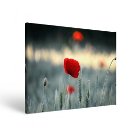 Холст прямоугольный с принтом Алый мак в Курске, 100% ПВХ |  | алый | красный | лепестки | мак | прикольные картинки | цветочки | цветы