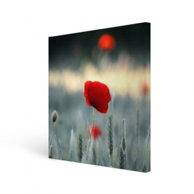 Холст квадратный с принтом Алый мак в Курске, 100% ПВХ |  | алый | красный | лепестки | мак | прикольные картинки | цветочки | цветы