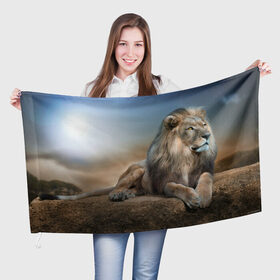 Флаг 3D с принтом Лев в Курске, 100% полиэстер | плотность ткани — 95 г/м2, размер — 67 х 109 см. Принт наносится с одной стороны | животные | лев | природа | пустыня