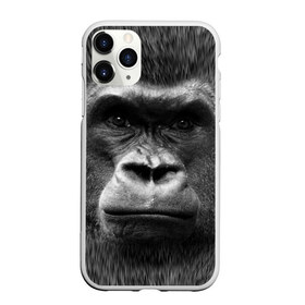 Чехол для iPhone 11 Pro Max матовый с принтом Взгляд в Курске, Силикон |  | взгляд | голова | животные | о.м.с.к. | обезьяна | природа