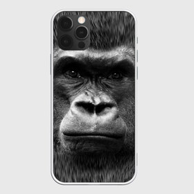 Чехол для iPhone 12 Pro Max с принтом Взгляд в Курске, Силикон |  | взгляд | голова | животные | о.м.с.к. | обезьяна | природа