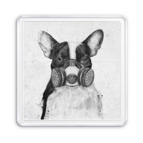 Магнит 55*55 с принтом Cool Dog в Курске, Пластик | Размер: 65*65 мм; Размер печати: 55*55 мм | красивый | крутой | маска | пес | рисунок | узор
