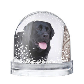 Снежный шар с принтом Черный лабрадор в Курске, Пластик | Изображение внутри шара печатается на глянцевой фотобумаге с двух сторон | Тематика изображения на принте: большая | золотистый | лабрадор | лабрадоры | палевый | песик | ретривер | собака | собаки