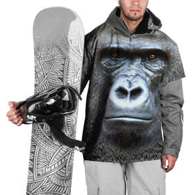 Накидка на куртку 3D с принтом Взгляд в Курске, 100% полиэстер |  | Тематика изображения на принте: взгляд | голова | животные | обезьяна | природа