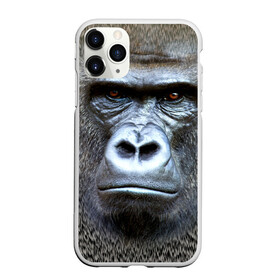 Чехол для iPhone 11 Pro Max матовый с принтом Взгляд в Курске, Силикон |  | взгляд | голова | животные | обезьяна | природа