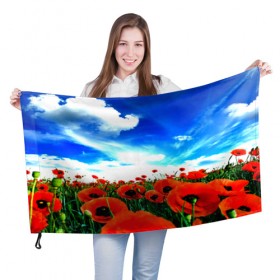 Флаг 3D с принтом Маки в Курске, 100% полиэстер | плотность ткани — 95 г/м2, размер — 67 х 109 см. Принт наносится с одной стороны | пейзаж | яркий