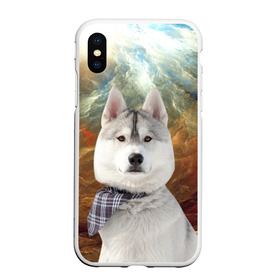Чехол для iPhone XS Max матовый с принтом Хаски в Курске, Силикон | Область печати: задняя сторона чехла, без боковых панелей | маламут | песик | собака | собаки | собачка | хаски