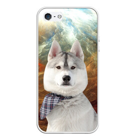Чехол для iPhone 5/5S матовый с принтом Хаски в Курске, Силикон | Область печати: задняя сторона чехла, без боковых панелей | маламут | песик | собака | собаки | собачка | хаски