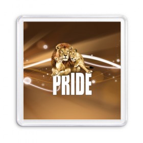 Магнит 55*55 с принтом Pride в Курске, Пластик | Размер: 65*65 мм; Размер печати: 55*55 мм | lion | голова животного | кот | кошка | лев | хищник | царь | цвет