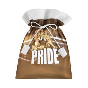 Подарочный 3D мешок с принтом Pride в Курске, 100% полиэстер | Размер: 29*39 см | lion | голова животного | кот | кошка | лев | хищник | царь | цвет