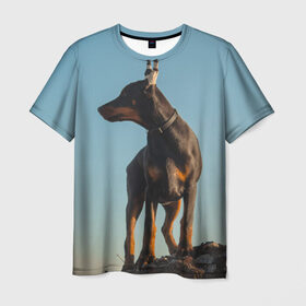 Мужская футболка 3D с принтом Доберман в Курске, 100% полиэфир | прямой крой, круглый вырез горловины, длина до линии бедер | Тематика изображения на принте: доберман | доберманы | пес | песик | псы | собака | собаки