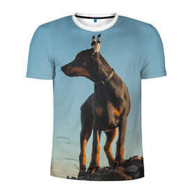 Мужская футболка 3D спортивная с принтом Доберман в Курске, 100% полиэстер с улучшенными характеристиками | приталенный силуэт, круглая горловина, широкие плечи, сужается к линии бедра | доберман | доберманы | пес | песик | псы | собака | собаки