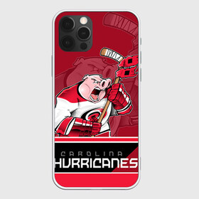 Чехол для iPhone 12 Pro Max с принтом Carolina Hurricanes в Курске, Силикон |  | Тематика изображения на принте: carolina hurricanes | nhl | stanley cup | каролина | каролина харрикейнз | кубок стенли | кубок стэнли | нхл | хоккей | хоккейный клуб | хурикэйнс