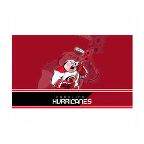 Бумага для упаковки 3D с принтом Carolina Hurricanes в Курске, пластик и полированная сталь | круглая форма, металлическое крепление в виде кольца | carolina hurricanes | nhl | stanley cup | каролина | каролина харрикейнз | кубок стенли | кубок стэнли | нхл | хоккей | хоккейный клуб | хурикэйнс