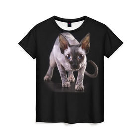 Женская футболка 3D с принтом Сфинкс в Курске, 100% полиэфир ( синтетическое хлопкоподобное полотно) | прямой крой, круглый вырез горловины, длина до линии бедер | взгляд | глаза | голова животного | киска | кот | котёнок | кошка | прикольные картинки