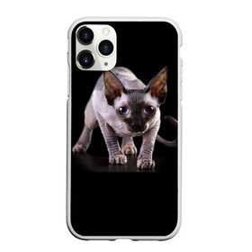 Чехол для iPhone 11 Pro матовый с принтом Сфинкс в Курске, Силикон |  | Тематика изображения на принте: взгляд | глаза | голова животного | киска | кот | котёнок | кошка | прикольные картинки
