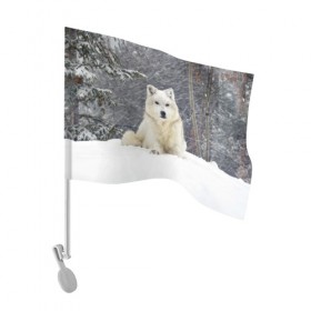 Флаг для автомобиля с принтом Snow в Курске, 100% полиэстер | Размер: 30*21 см | белый | зима | снег