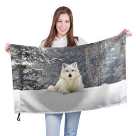 Флаг 3D с принтом Snow в Курске, 100% полиэстер | плотность ткани — 95 г/м2, размер — 67 х 109 см. Принт наносится с одной стороны | белый | зима | снег