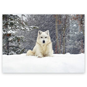 Поздравительная открытка с принтом Snow в Курске, 100% бумага | плотность бумаги 280 г/м2, матовая, на обратной стороне линовка и место для марки
 | белый | зима | снег
