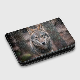 Картхолдер с принтом с принтом Wolf в Курске, натуральная матовая кожа | размер 7,3 х 10 см; кардхолдер имеет 4 кармана для карт; | Тематика изображения на принте: зверь | лес