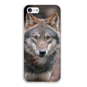Чехол для iPhone 5/5S матовый с принтом Wolf в Курске, Силикон | Область печати: задняя сторона чехла, без боковых панелей | зверь | лес
