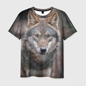 Мужская футболка 3D с принтом Wolf в Курске, 100% полиэфир | прямой крой, круглый вырез горловины, длина до линии бедер | зверь | лес
