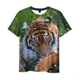 Мужская футболка 3D с принтом Скромный тигр в Курске, 100% полиэфир | прямой крой, круглый вырез горловины, длина до линии бедер | дикие | лев | милые | новинки | орел | популярные | прикольные | природа | птицы | тигр | яркие