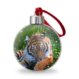 Ёлочный шар с принтом Скромный тигр в Курске, Пластик | Диаметр: 77 мм | дикие | лев | милые | новинки | орел | популярные | прикольные | природа | птицы | тигр | яркие