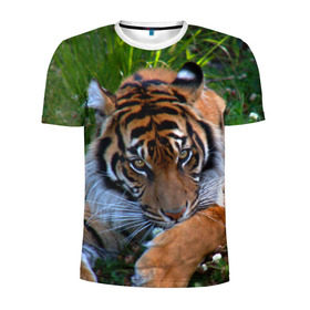 Мужская футболка 3D спортивная с принтом Скромный тигр в Курске, 100% полиэстер с улучшенными характеристиками | приталенный силуэт, круглая горловина, широкие плечи, сужается к линии бедра | дикие | лев | милые | новинки | орел | популярные | прикольные | природа | птицы | тигр | яркие