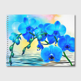 Альбом для рисования с принтом Орхидеи в Курске, 100% бумага
 | матовая бумага, плотность 200 мг. | Тематика изображения на принте: орхидея | природа | цветы