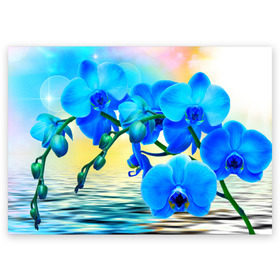 Поздравительная открытка с принтом Орхидеи в Курске, 100% бумага | плотность бумаги 280 г/м2, матовая, на обратной стороне линовка и место для марки
 | орхидея | природа | цветы