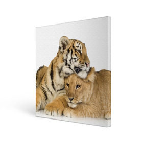Холст квадратный с принтом Тигр и львица в Курске, 100% ПВХ |  | дикие | милые | природа | тигр | яркие