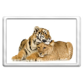 Магнит 45*70 с принтом Тигр и львица в Курске, Пластик | Размер: 78*52 мм; Размер печати: 70*45 | дикие | милые | природа | тигр | яркие