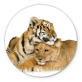 Коврик круглый с принтом Тигр и львица в Курске, резина и полиэстер | круглая форма, изображение наносится на всю лицевую часть | дикие | милые | природа | тигр | яркие
