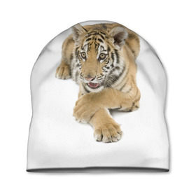 Шапка 3D с принтом Ласковый тигренок в Курске, 100% полиэстер | универсальный размер, печать по всей поверхности изделия | дикие | милые | природа | тигр | яркие
