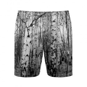 Мужские шорты 3D спортивные с принтом Березовая роща в Курске,  |  | birch | birch grove | black   white | forest | photo | trees | березовая | березы | деревья | лес | роща | фото | черно   белое