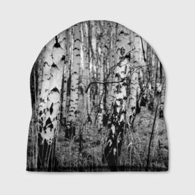 Шапка 3D с принтом Березовая роща в Курске, 100% полиэстер | универсальный размер, печать по всей поверхности изделия | birch | birch grove | black   white | forest | photo | trees | березовая | березы | деревья | лес | роща | фото | черно   белое